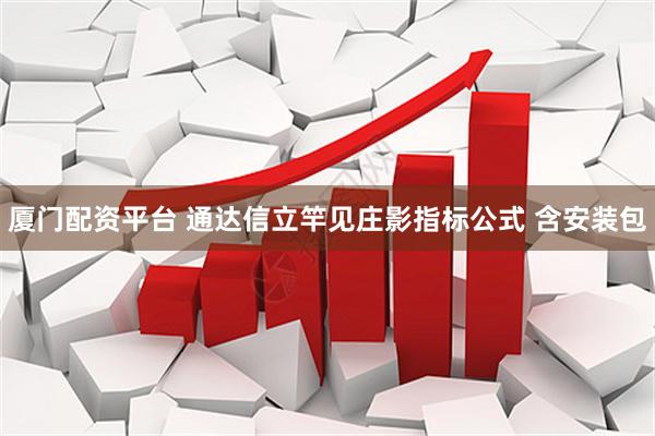 厦门配资平台 通达信立竿见庄影指标公式 含安装包